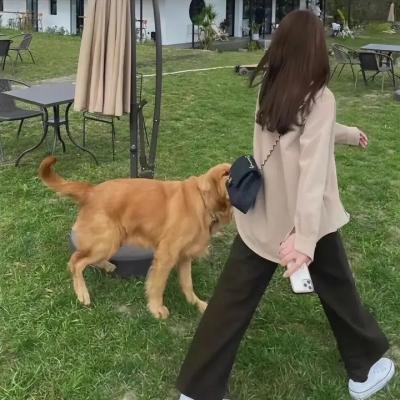 布莱切利四人组第二季